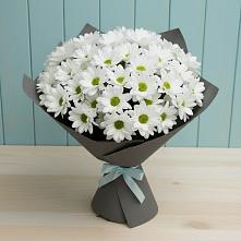 Букет цветов из:  Хризантемы в Пречистое