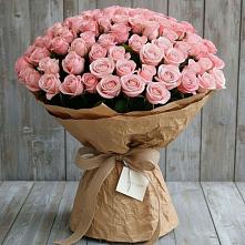 Букет 151 Роза Роуз #REPLACE_PRED# Пречистое